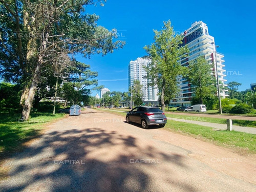 Imagen 4 de 6 de Lote En Venta Sobre Roosevelt - Punta Del Este Cantegril