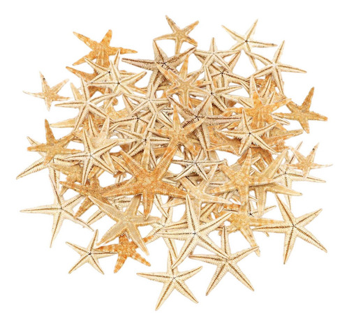 Decoración De Estrella De Mar Natural Para 1-5cm 100 Piezas
