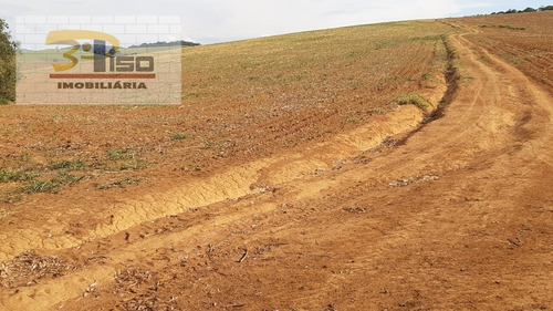 Imagem 4 de 15 de Fazenda Em Centro - Pouso Alegre - 1565