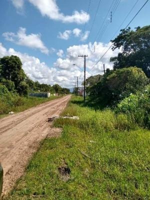 Terreno Com 300 Metros Da Rodovia - Itanhaém 6685 | Sanm