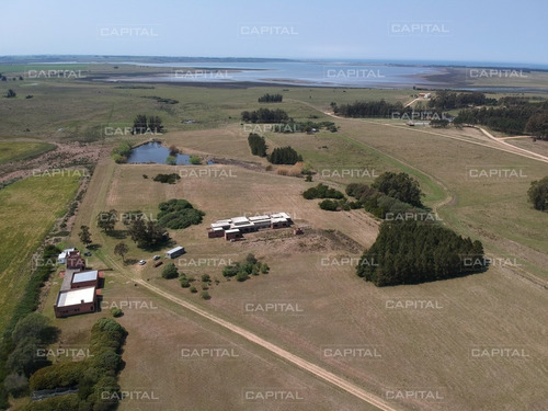 Espectacular Chacra Con Vista A La Laguna De José Ignacio-ref:30649