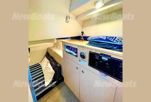 Imagem 9 de 14 de Lancha Bayliner 310 - Gerador - Bote _ Carreta 200 Horas