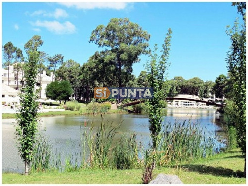 Imagen 20 de 30 de Apartamento En Alquiler Anual