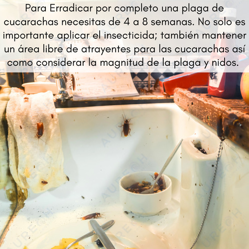 Pesguard Gel Cebo Mata Cucarachas Y Regulador 4pz