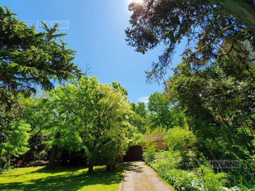 Imagen 13 de 26 de Excelente Lote-terreno Arbolado En Venta - San Isidro - Las Lomas