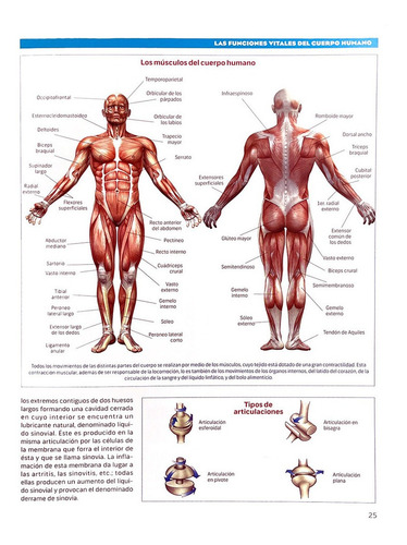 Manual De Primeros Auxilios