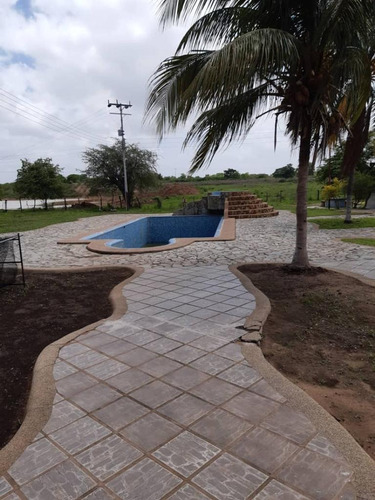 Se Vende Finca En Valle De La Pascua / Rrev09m
