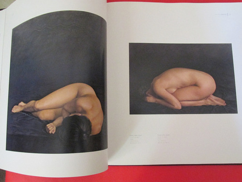 Imponente Libro Pintor Chileno Ricardo Maffei 2010 Mu Escaso (Usado)