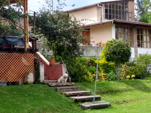 Bonita Casa Con Amplio Terreno