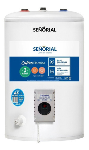 Imagen 1 de 3 de Termotanque Señorial 65 Litros Eléctrico Envío Gratis