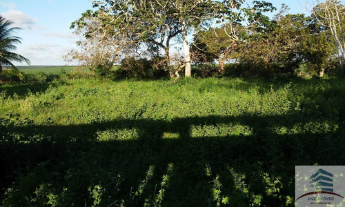 Imagem 15 de 30 de Lotes A Venda Novo Condomínio Horizontal Em Macaíba, Bosque