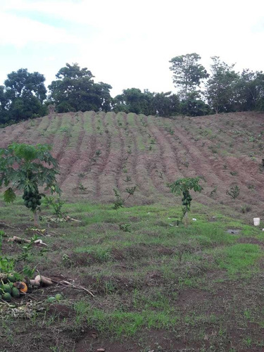 Te Vendo Excelente Finca En Monte Plata