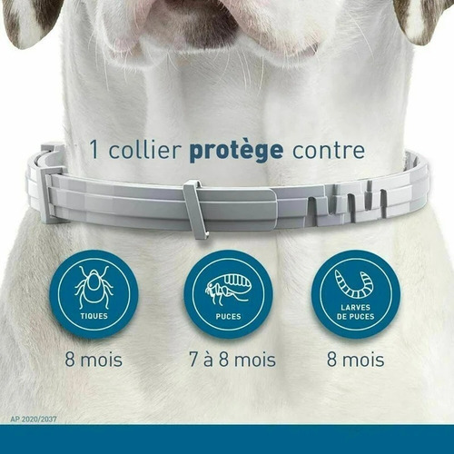 Collar Antiparasitos Ajustable 2x1 Para Perro Y Gato Gris Perro Grande