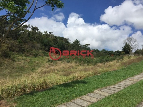 Imagem 5 de 16 de Terreno Com Mais De 2 Mil M² Dentro De Condomínio Em Vieira, Teresópolis/rj. - Te00202 - 33751391