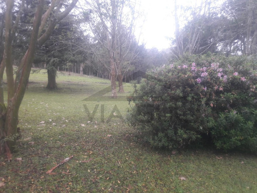 Imagem 25 de 29 de Chácara Em Itapecerica Da Serra - 173 - 34422317