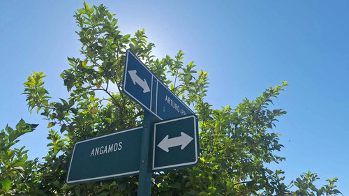 Oportunidad De Inversión En Amplio Terreno (160758)