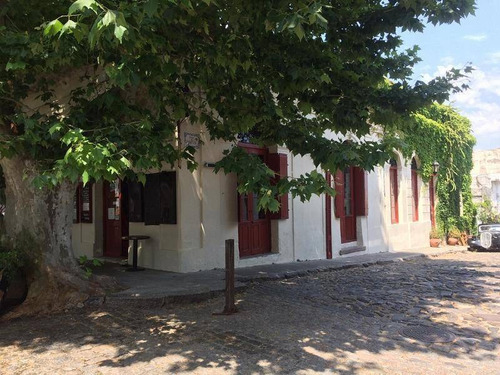 Locales Comerciales Alquiler Colonia Del Sacramento