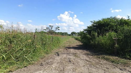 Terreno Venta Campo Quijano Sobre Rn 51 1494m2