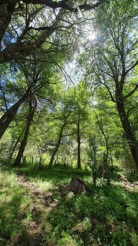 Sitio En Venta En Cerro Castillo, Comuna De Río Ibáñez