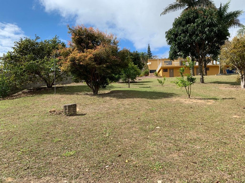 Imagem 5 de 14 de 3.500 M², 02 Dormitórios, Portão Eletrônico E Poço !!