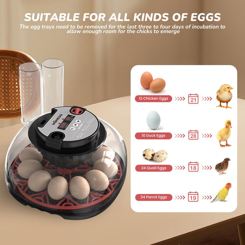 Incubadora 12 Huevos Digital Pollo Codorniz Pato Giro Automá