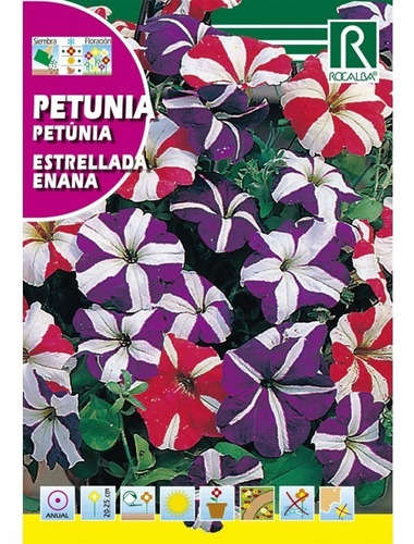 Semillas Petunia Estrellada Enana  Flores Floral Jardin 