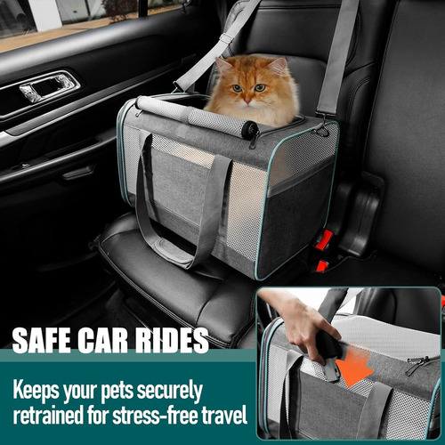 Transportín Para Gatos Grandes, 20 Libras O Más, Perro Peque