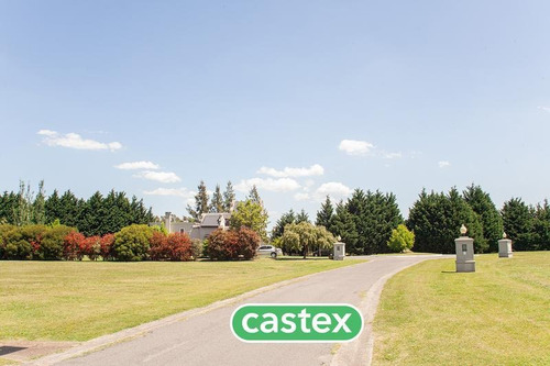 Imagen 6 de 25 de Lote Perimetral En Venta En San Eliseo