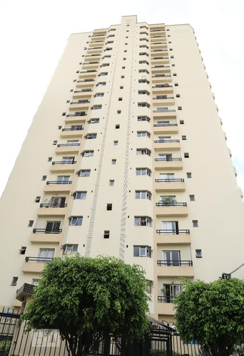 Apartamento À Venda - Santana, 3 Quartos, 78 - S892795065