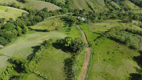 Imagen 1 de 15 de Finca De 165 Tareas A La Venta En Jarabacoa, Oportunidad De Inversión