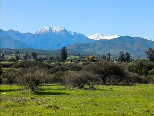 Se Vende Parcela Piedra Amarilla Los Laureles, Limache