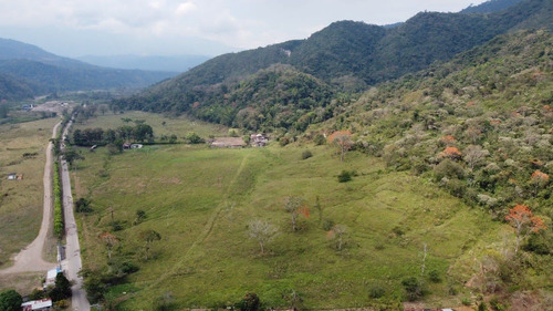 Imagen 6 de 8 de Finca En Venta Con Tradición Cafetalera Y Caña.