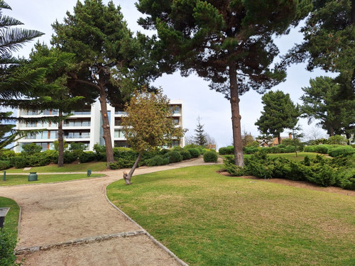 Espectacular Departamento En Prados De Montemar, Concón