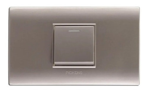Interruptor Sencillo Pickens Plateado