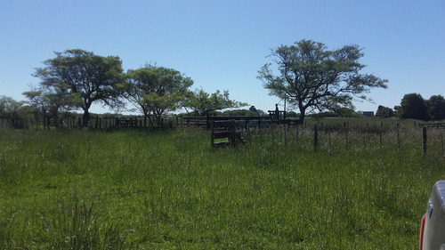 Imagen 3 de 11 de Campo 134 Has. En Gral. Madariaga