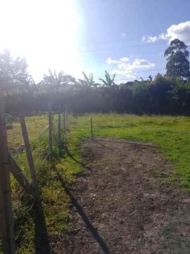 2 Lotes Super Planos En Venta En La Ceja(a 2,5 Km Via La Ceja- La Union)