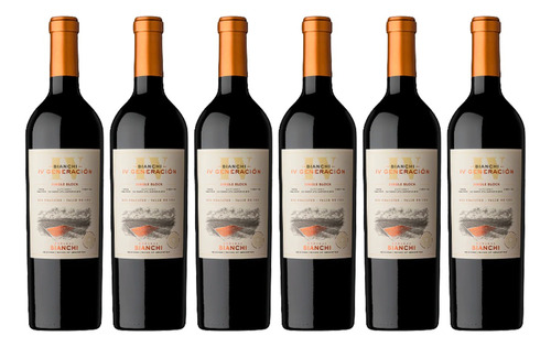 Bianchi Iv Generación Gran Malbec 750 Ml Caja X 6