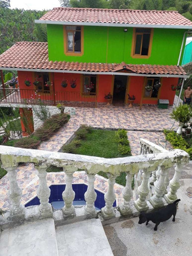 Imagen 2 de 9 de Alquiler De Chalet Con Terreno Vía El Eden
