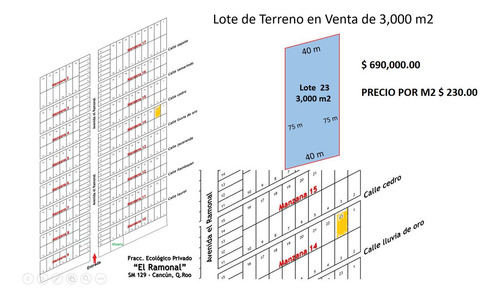 Lote De Terreno Ecológico, Venta De 3,000 M2, Fracc. El Ramonal, Carretera Cancún-mérida