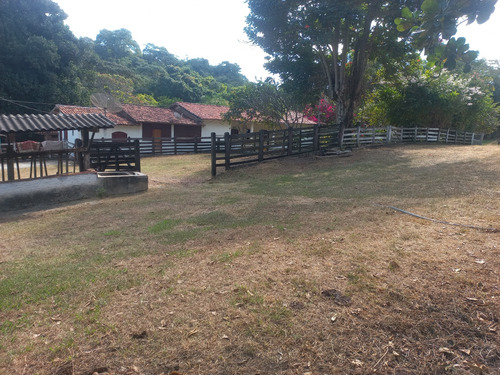 Fazenda Com Ótima Localização