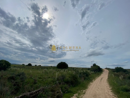 Campo En Garzon - Ideal Para Uso De Descanso - Consulte!!!!- Ref: 3606