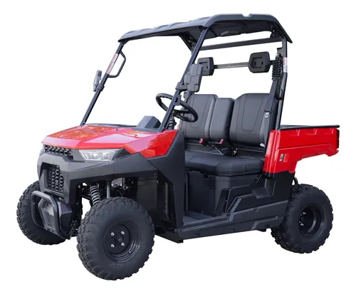 Buggie 200cc Efi