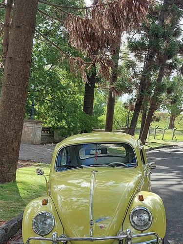 Imagen 2 de 15 de Volkswagen The Beetle 1962 Alemán