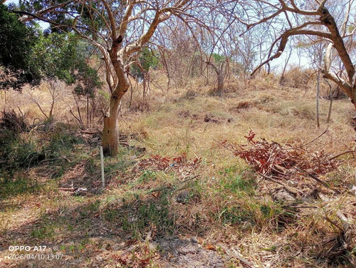 Terreno En Venta En Lomas De Cocoyoc