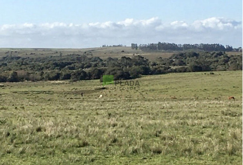  Bajo De Precio ! Buena Fracción De Campo De 23 Has. Sobre Ruta 9.-