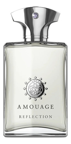 Perfume Amouage Reflection Man 100 Ml