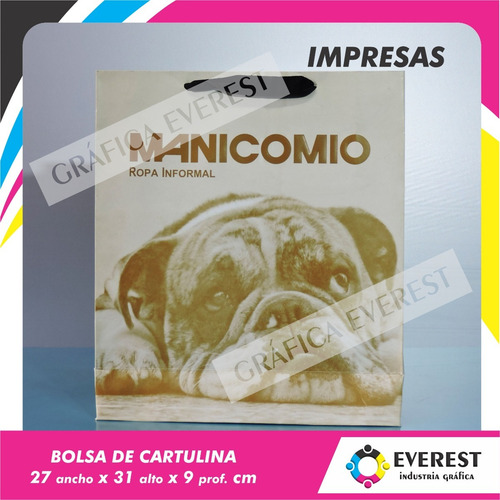 Bolsas De Cartulina 27x31x9 X 250u Impresas Offset 1 Color