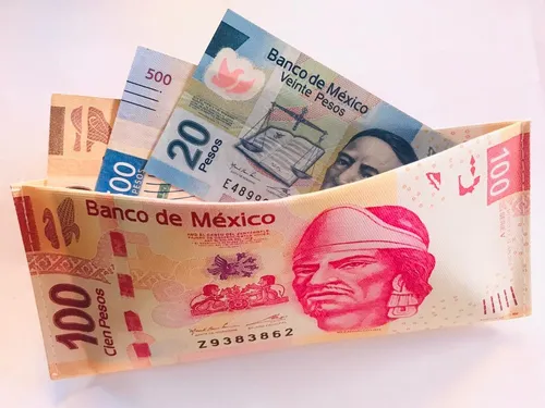 Carteras de billetes sale