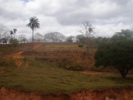 Excelente Terreno 102.847 M² - 481