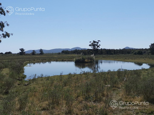 Chacra En Venta - Alquiler Anual En Cerros Azules -piriapolis